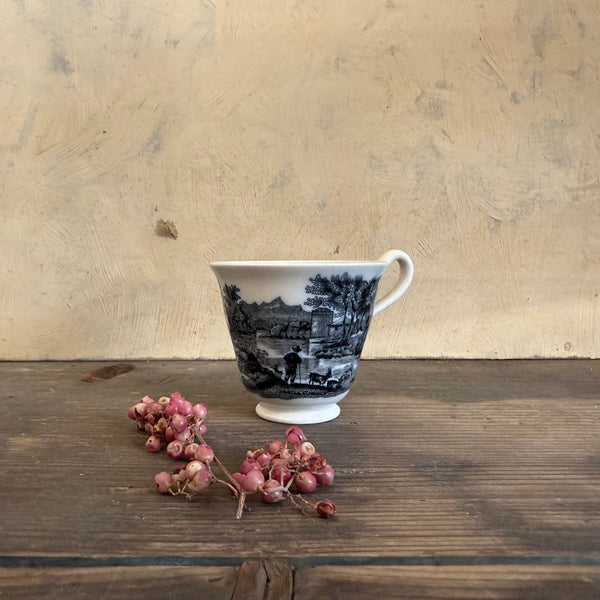 Victorian Transfer Tea Cup