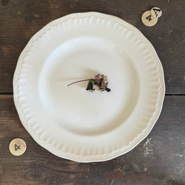 Vintage Crisp White Plate