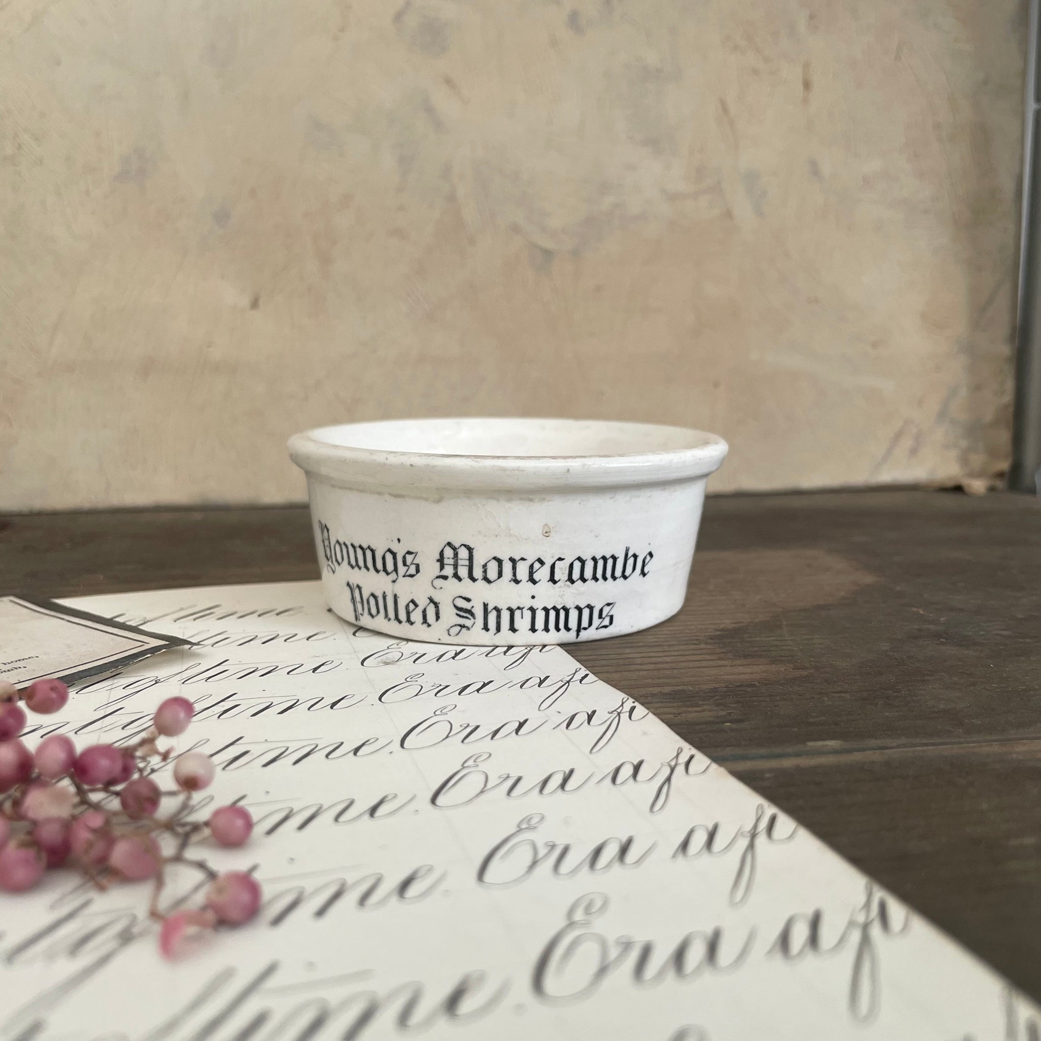 Antique Youngs Morecambe Shrimps