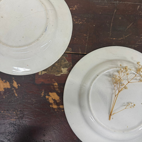 Victorian 1880s Child Transfer Plates