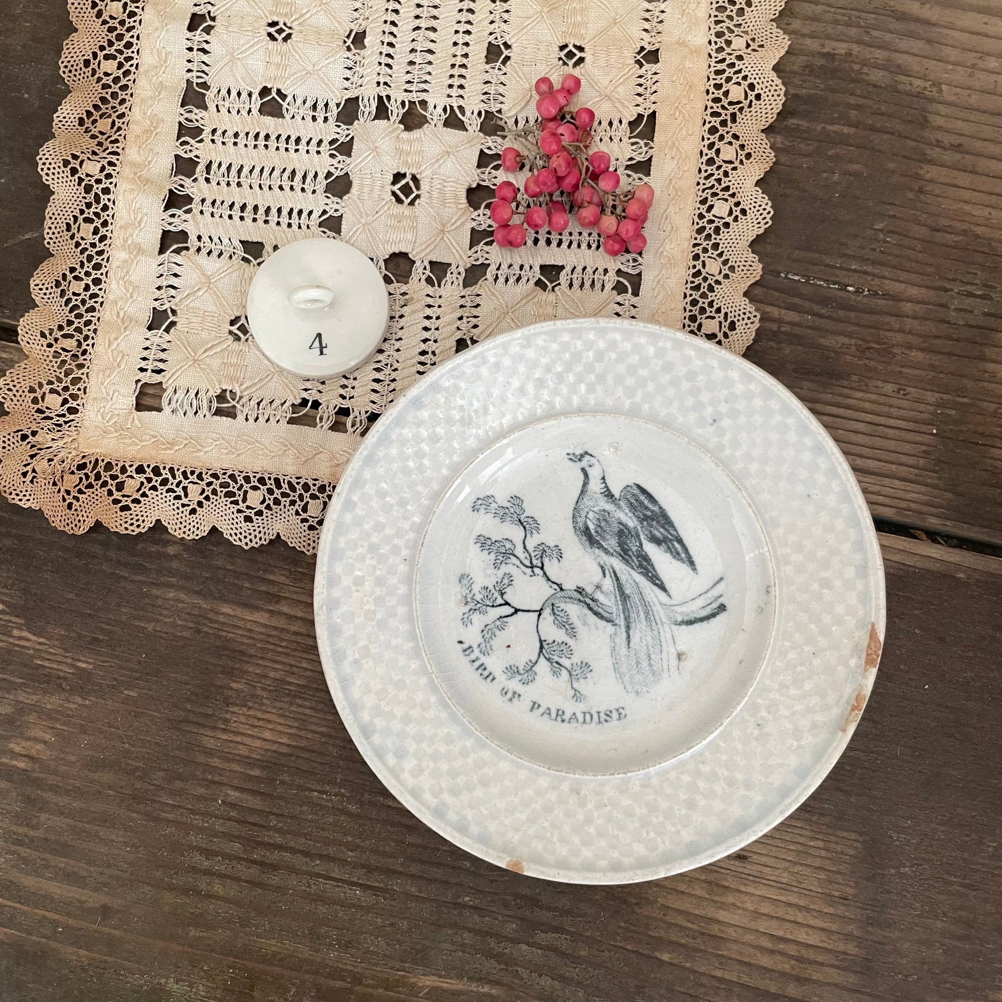Antique Childs 'Bird of Paradise' Plate