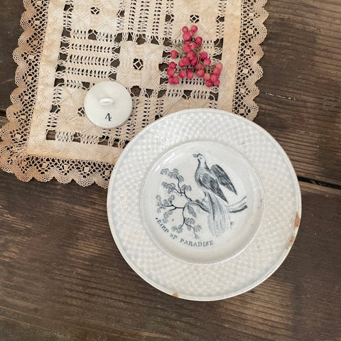 Antique Childs 'Bird of Paradise' Plate