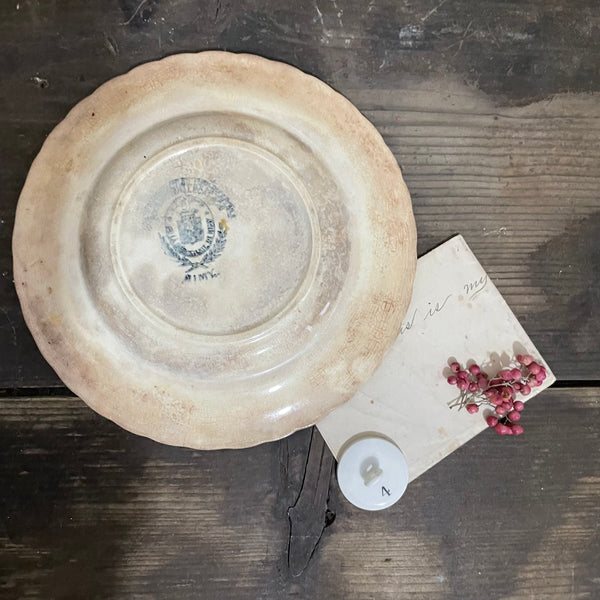 Antique French Bird Plate