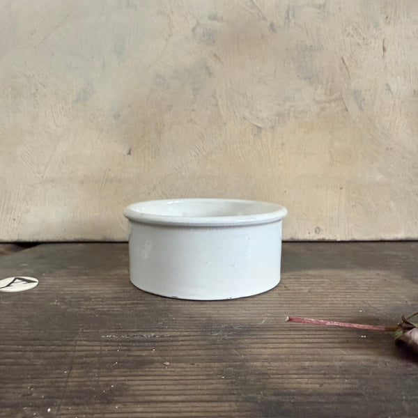 Antique Home Potted Farnorth Pot