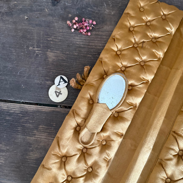 Antique Velvet Case