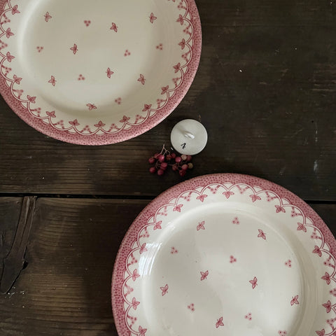 Pair of Vintage Ironstone Plates