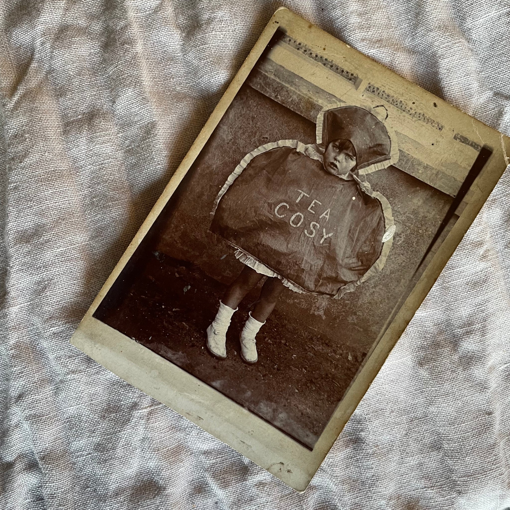 Tea Cosy Photo