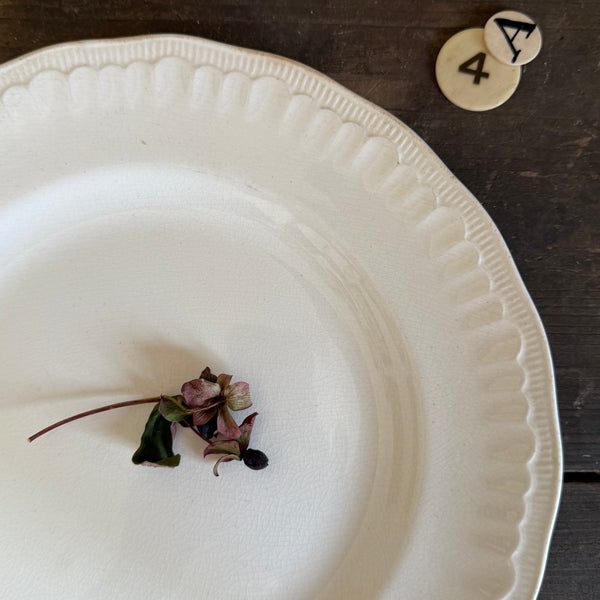 Vintage Crisp White Plate