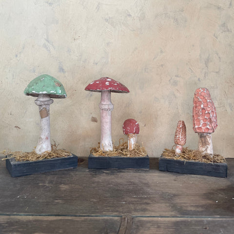Antique Teaching Specimen Toadstool Models