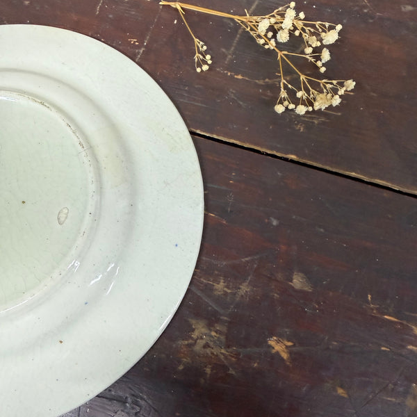 Victorian 1880s Garden Walk Transfer Plate