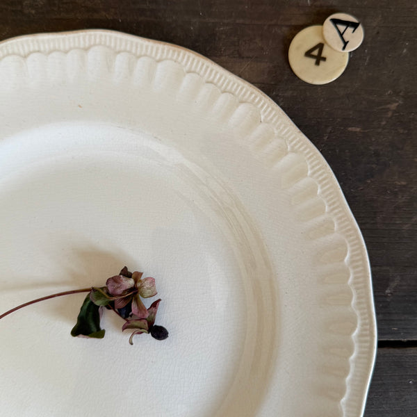 Vintage Crisp White Plate