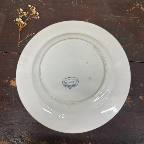 Antique Transfer Bird Plate