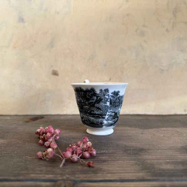 Victorian Transfer Tea Cup