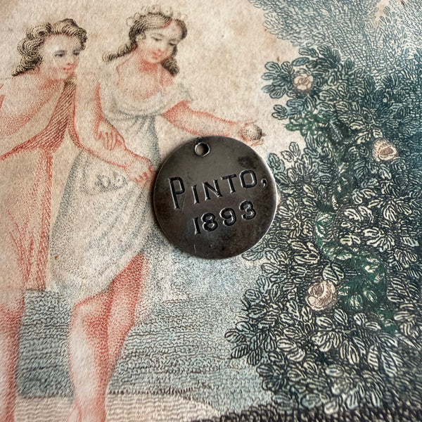 Victorian Pinto Love Token Charm