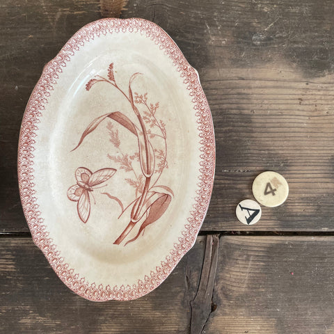Antique Oval Butterfly Plate