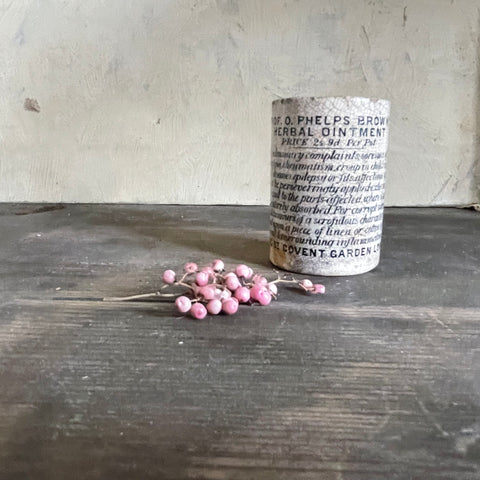 Antique Advertising Prof O Phelps Brown’s Pot