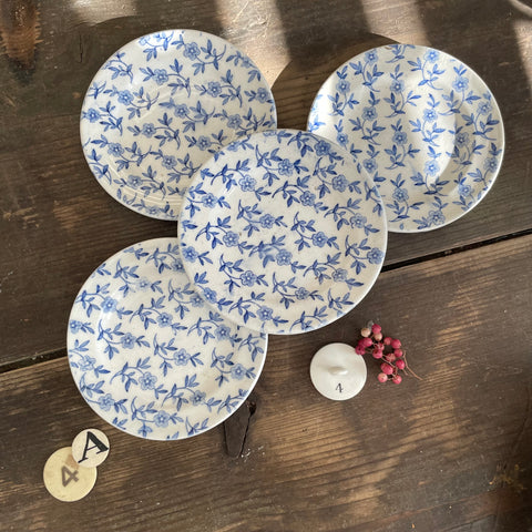 Victorian Transferware Child Plates