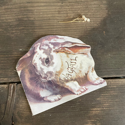 Late Victorian Bunny Book