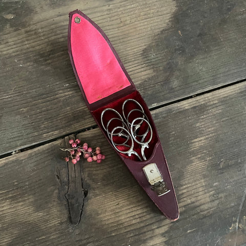 Antique Beautiful Set of Scissors