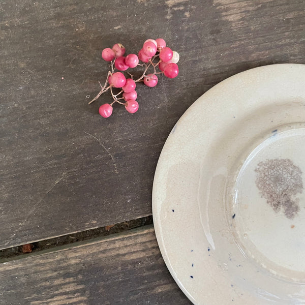 Antique Relish Plate