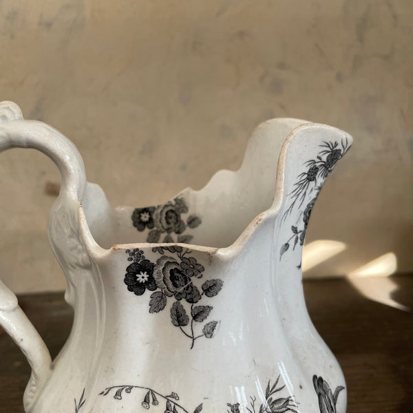 Early Victorian Bird Jug