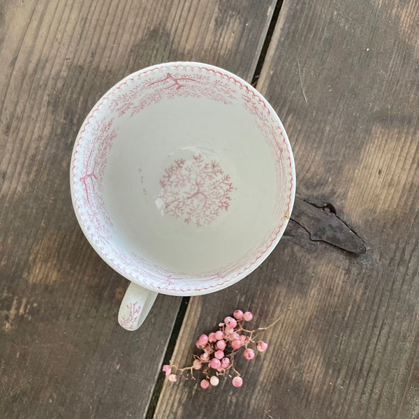 Beautiful Antique Tea Cup