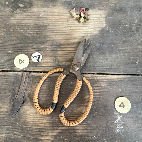 Antique Beautiful Scissors