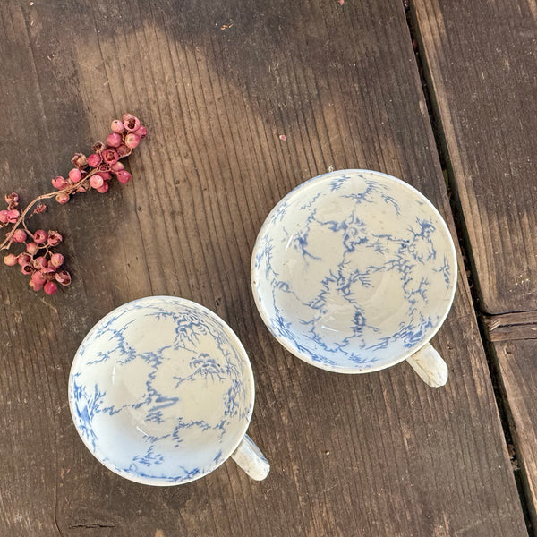 Victorian Child Tea Cup