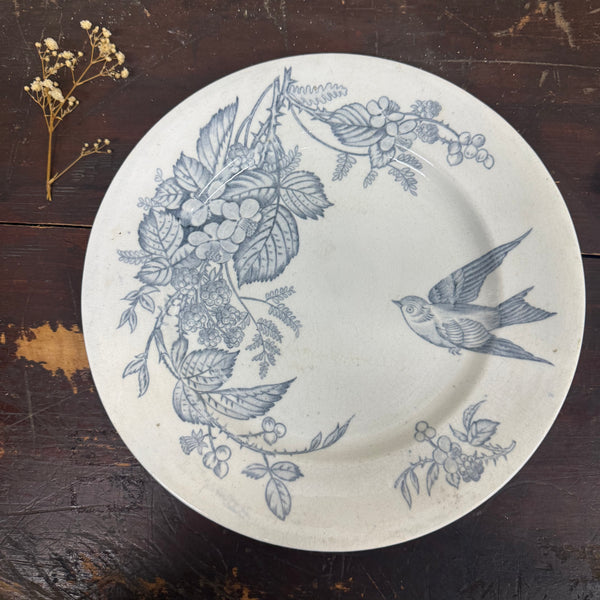 Antique Transfer Bird Plate
