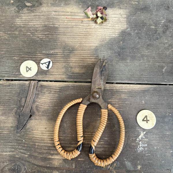 Antique Beautiful Scissors