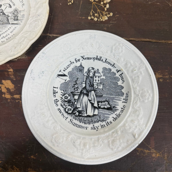 Victorian 1880s Transfer Plates