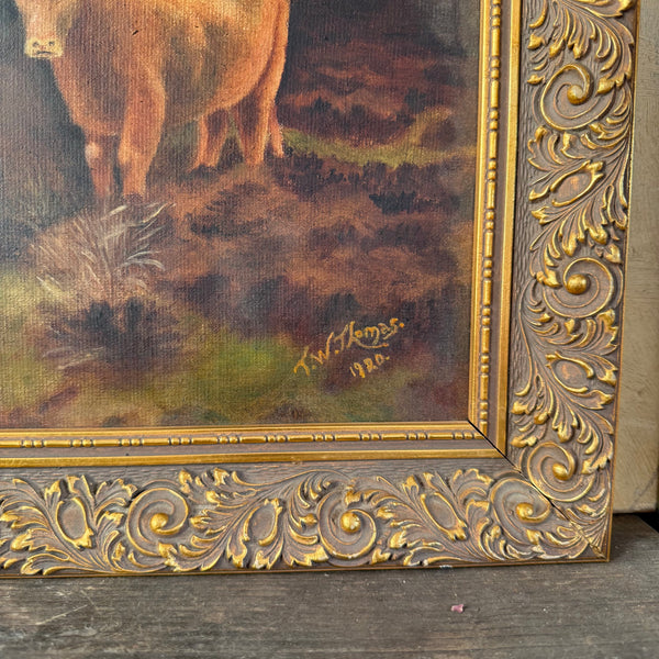 Antique 1920 Highland Cow Painting on Canvas