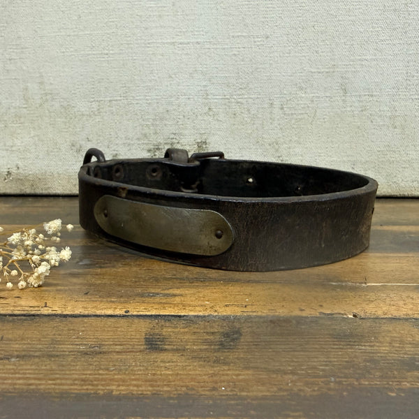 Antique Dog Collar