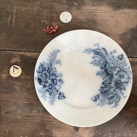 Pretty Blue Transfer Plate