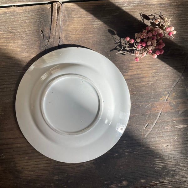 Antique Staffordshire Transferware Plate