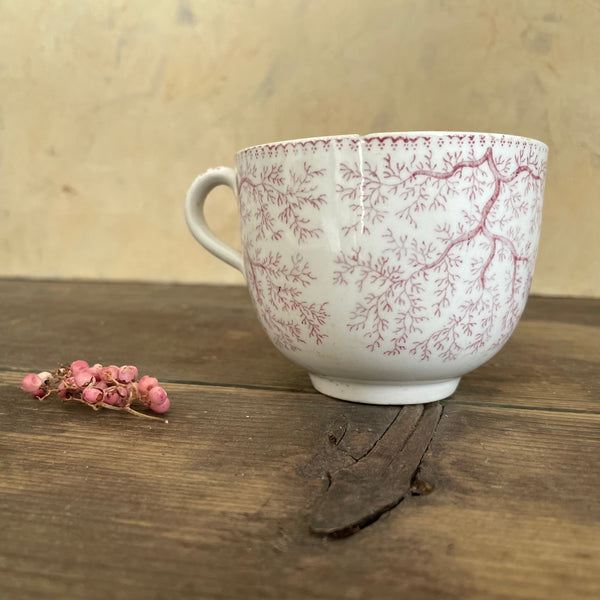Beautiful Antique Tea Cup