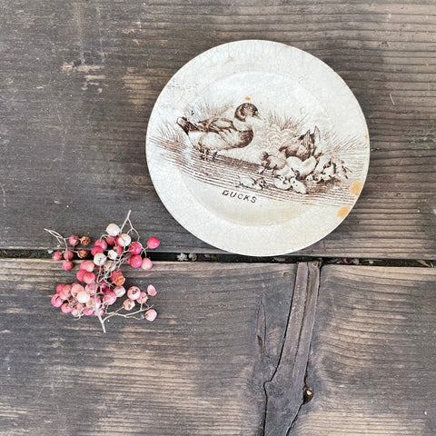 Antique Duck Transfer Plate