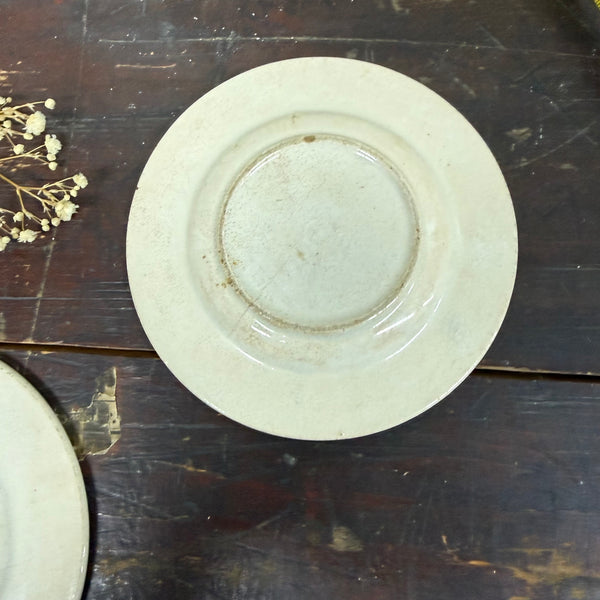 Victorian Pink Transfer Floral Plate