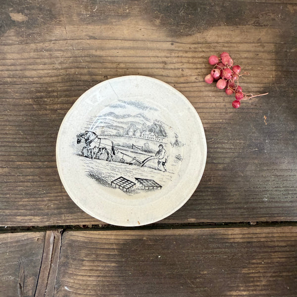 Victorian Transfer Plate