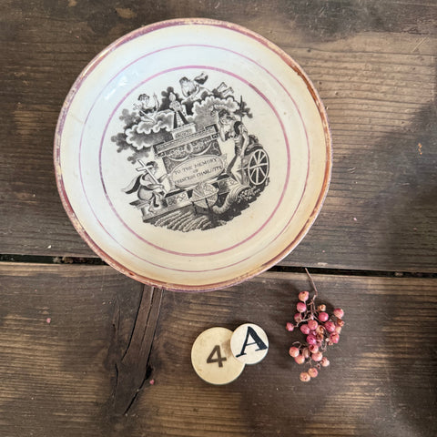 Beautiful Princess Charlotte Plate
