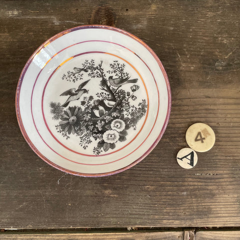 Beautiful Antique Bird Plate