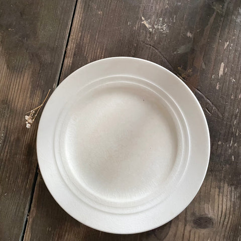 Beautiful Stained Plate