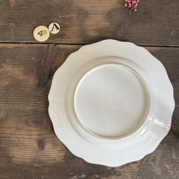 Antique Pink Shell Plate