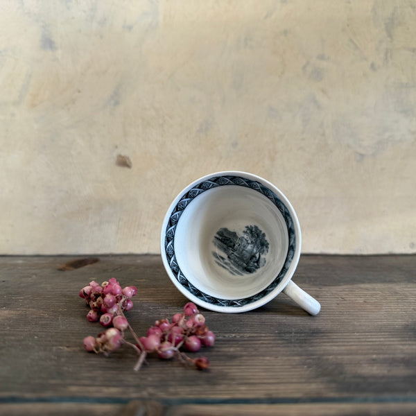 Victorian Transfer Tea Cup