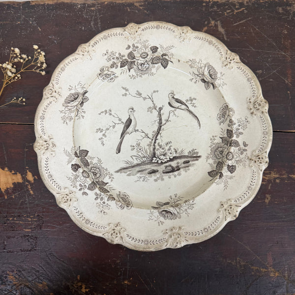 Antique Victorian Black Transfer Bird Plate
