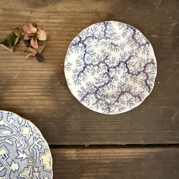 Antique Blue Transfer Plates