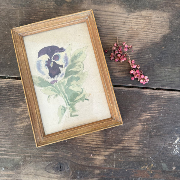 Vintage French Pansy Painting