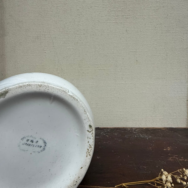 Beautiful Antique Butterfly Transfer Jug