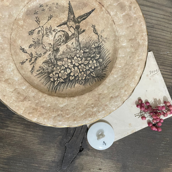 Antique French Bird Plate