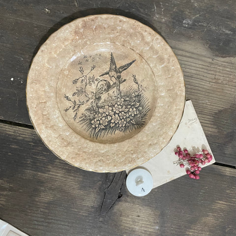 Antique French Bird Plate